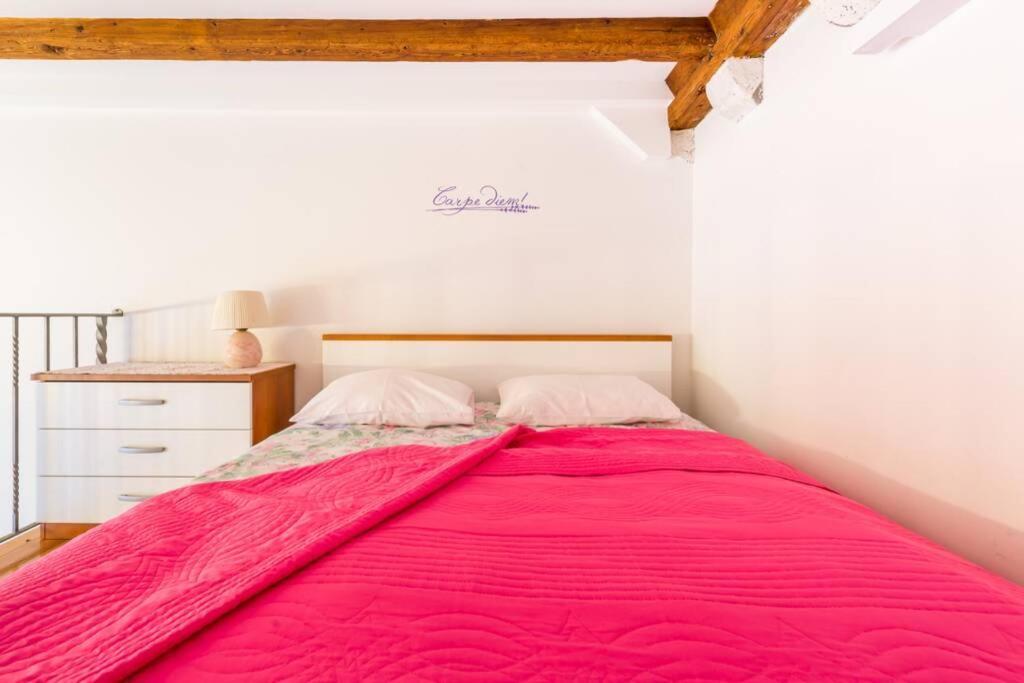 Carpe Diem Apartment On The Main Street - Stradun Ragusa Esterno foto