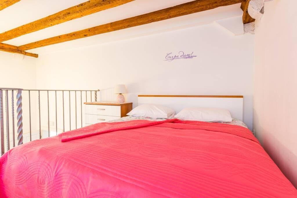 Carpe Diem Apartment On The Main Street - Stradun Ragusa Esterno foto