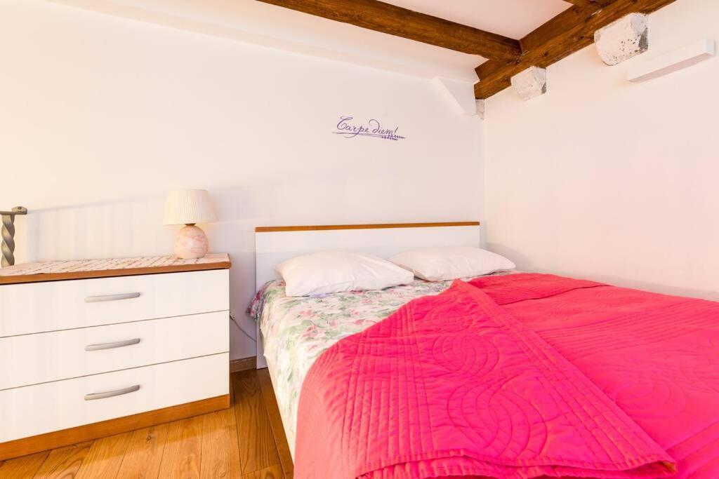 Carpe Diem Apartment On The Main Street - Stradun Ragusa Esterno foto
